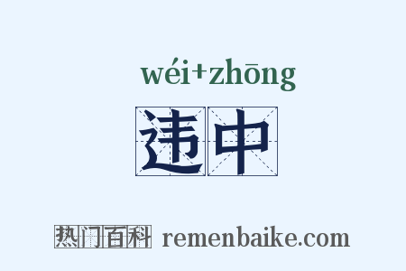 违中是什么意思的图片